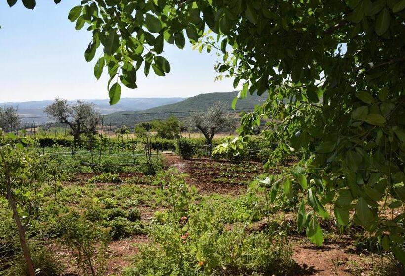 اتاق استاندارد, Quinta Da Boa Ventura