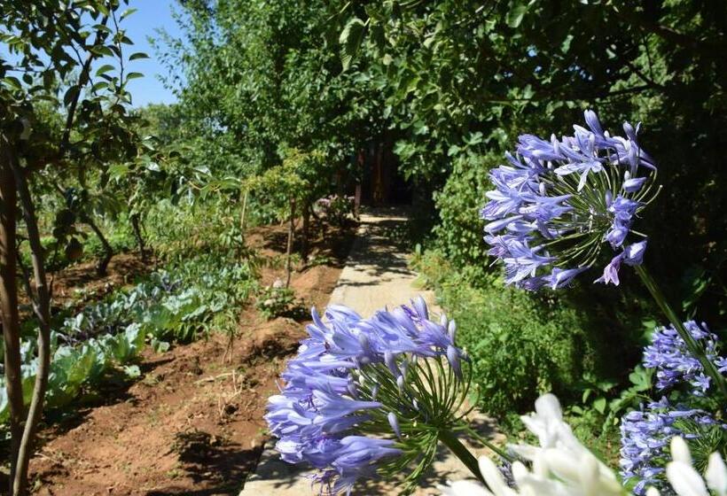 ویلای لوکس 1 خوابه, Quinta Da Boa Ventura