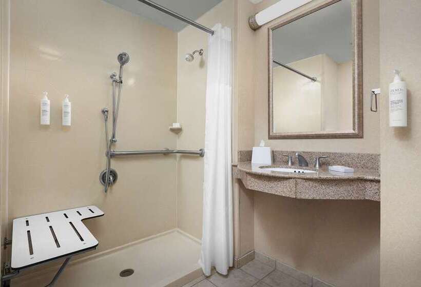 스탠다드 룸, Hampton Inn Monahans