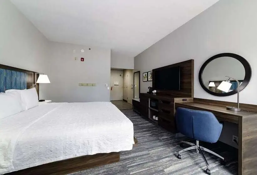 スタンダードルーム, Hampton Inn Monahans