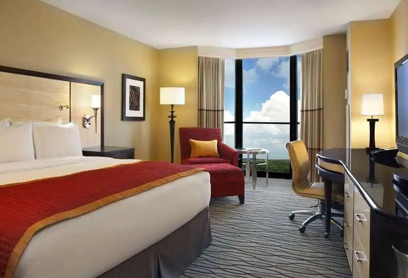 اتاق استاندارد, Hilton Garden Inn Harlingen Convention Center