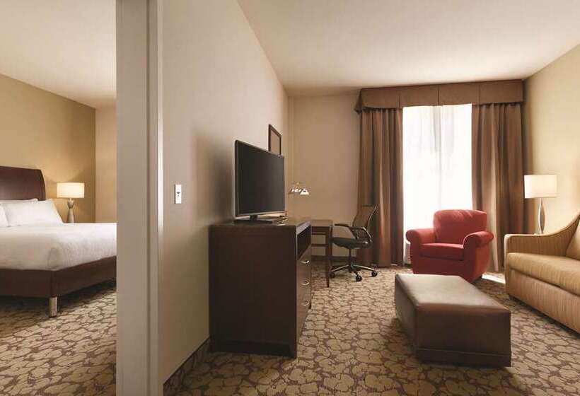 스탠다드 룸, Hilton Garden Inn Harlingen Convention Center