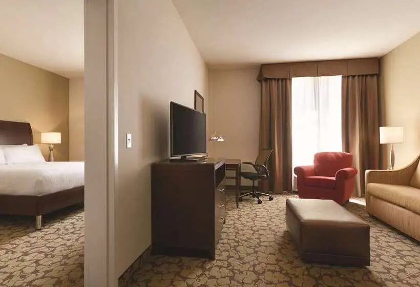 اتاق استاندارد, Hilton Garden Inn Harlingen Convention Center