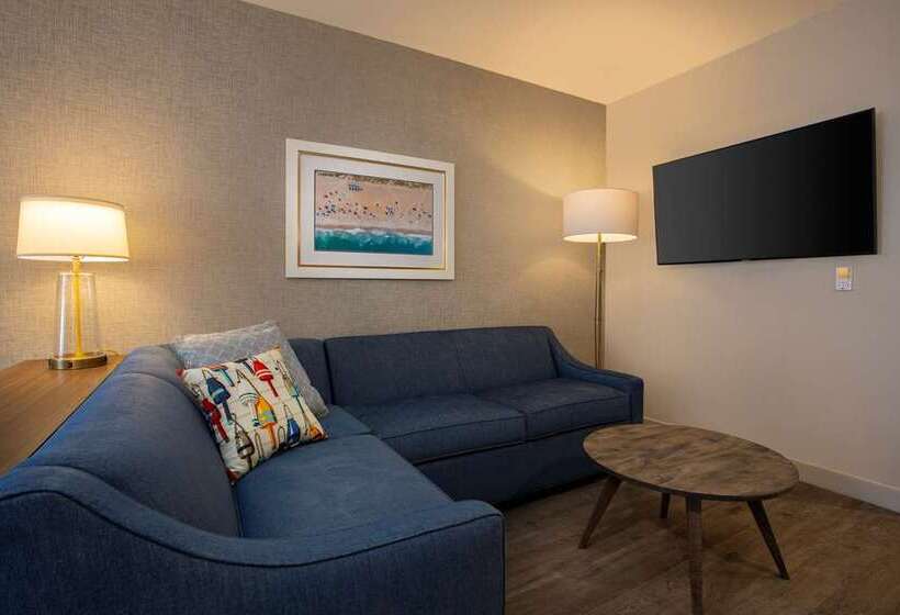 غرفة بريميوم, Hilton Garden Inn Harlingen Convention Center