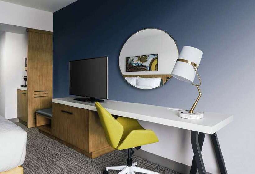 غرفة بريميوم, Hilton Garden Inn Harlingen Convention Center