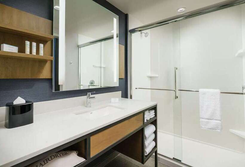프리미엄 룸, Hilton Garden Inn Harlingen Convention Center