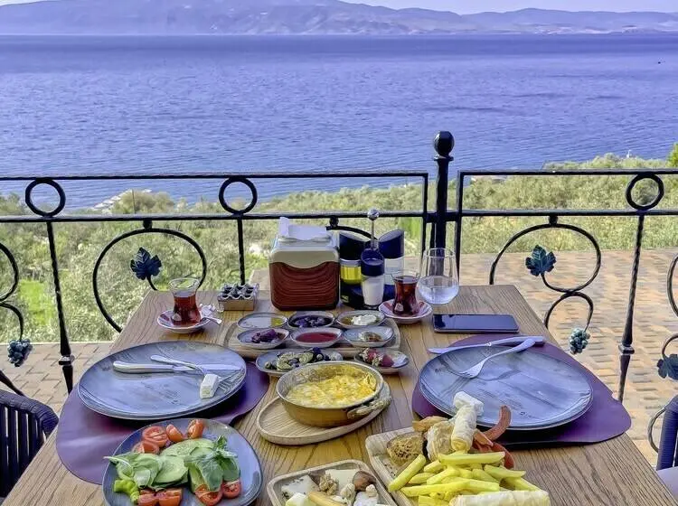 海の見えるダブルベッドスタンダードルーム, Assos Dionysos Hotel Special Class   Adults Only