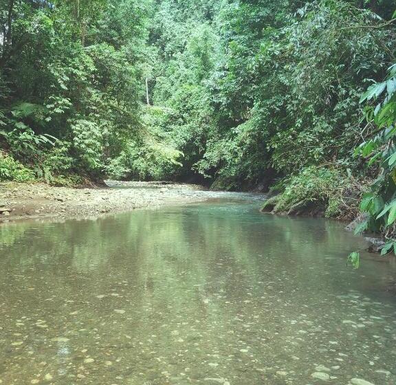 اتاق استاندارد چهار تخته, Cabinas Agua Luna Frente Al Mar