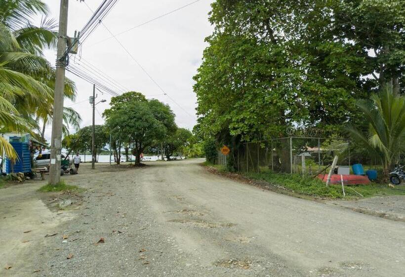 اتاق استاندارد چهار تخته, Cabinas Agua Luna Frente Al Mar