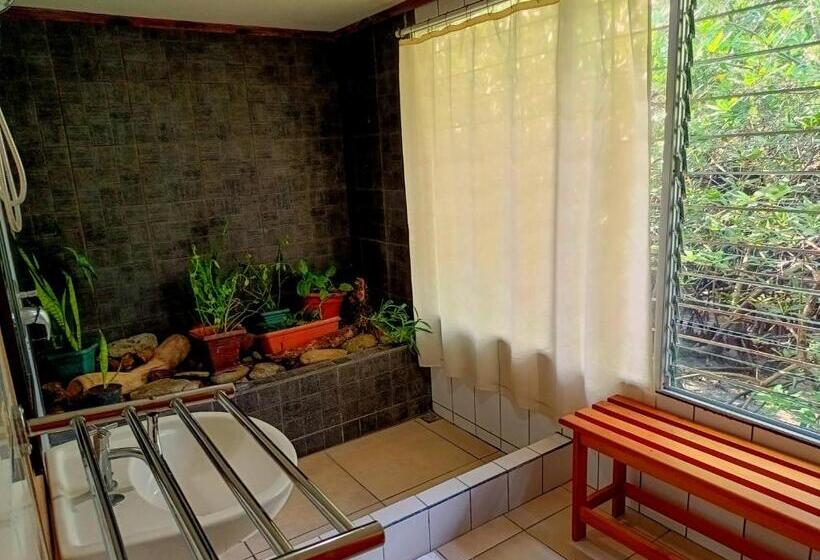 اتاق استاندارد چهار تخته, Cabinas Agua Luna Frente Al Mar