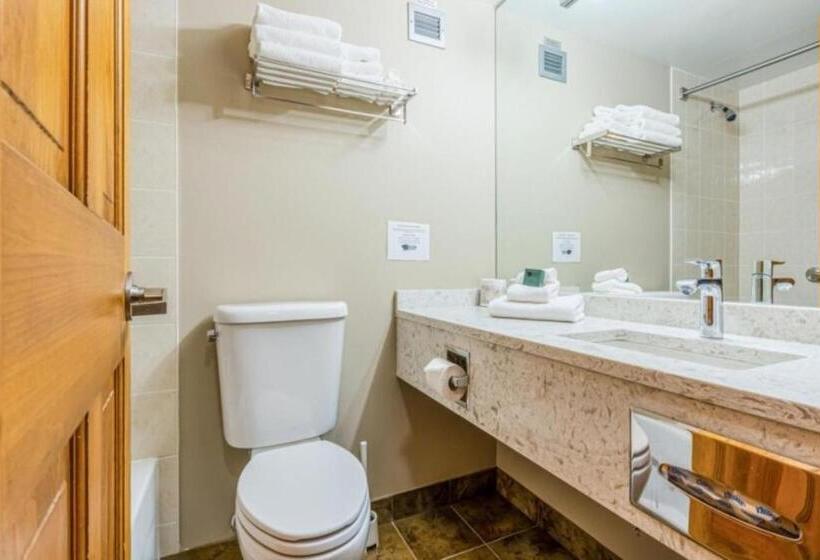 标准间, Cahilty Hotel & Suites