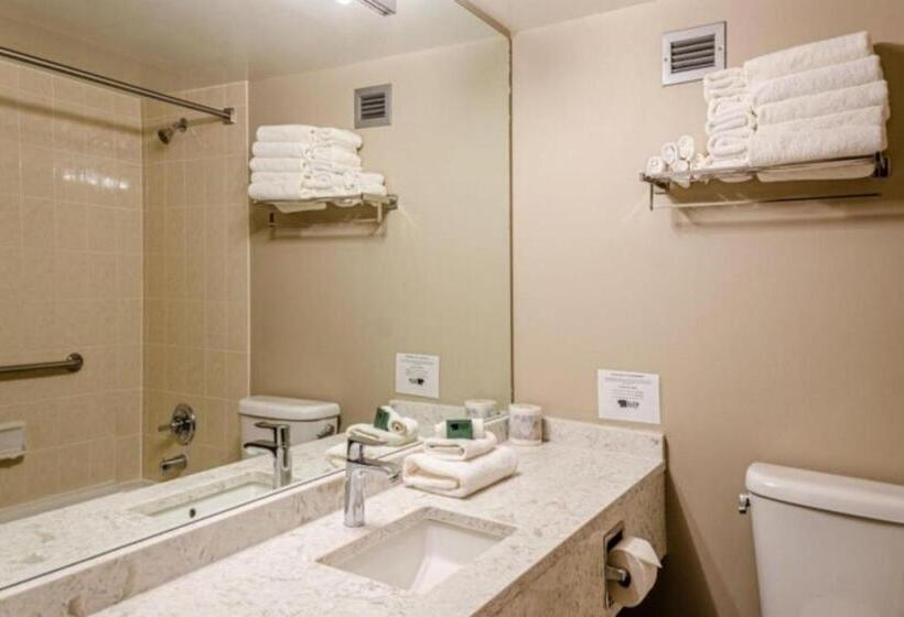 套房, Cahilty Hotel & Suites