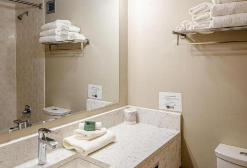 标准工作室, Cahilty Hotel & Suites