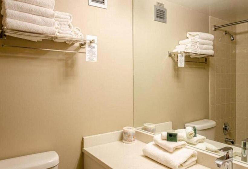 标准工作室, Cahilty Hotel & Suites