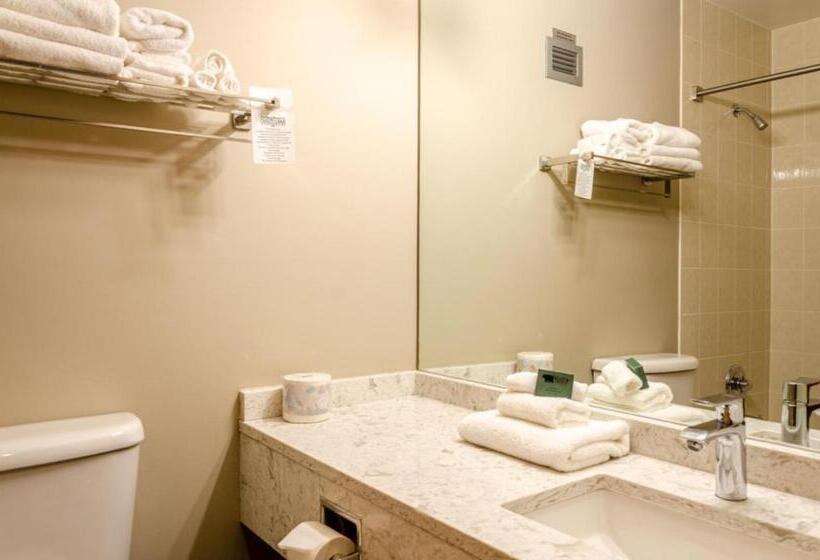 带2个卧室的公寓, Cahilty Hotel & Suites