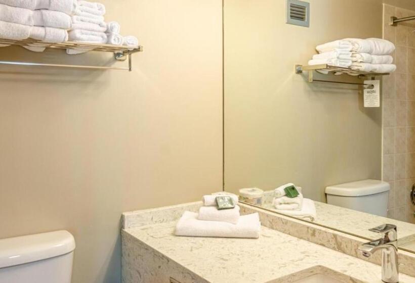 带1个卧室的公寓, Cahilty Hotel & Suites