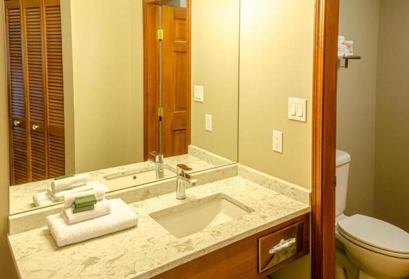 1ベッドルームアパートメント, Cahilty Hotel & Suites