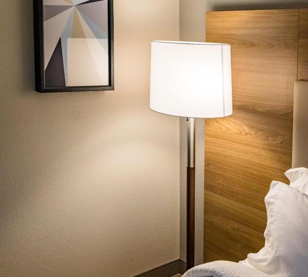 适合残疾人使用的标准间, Candlewood Suites Richmond South, An Ihg