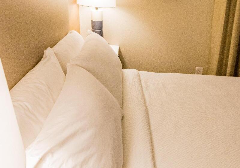 جناح لذوى الاحتياجات الخاصة, Candlewood Suites Richmond South, An Ihg