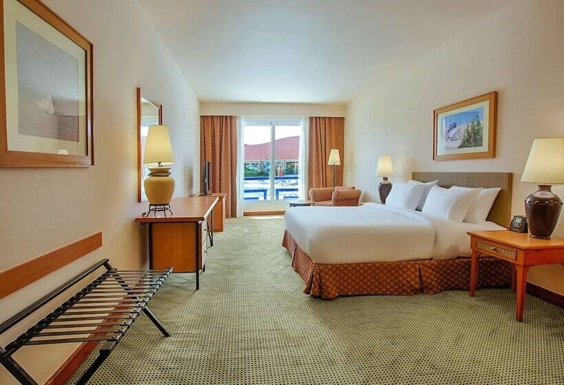 Номер Премиум, Hilton Alexandria Green Plaza