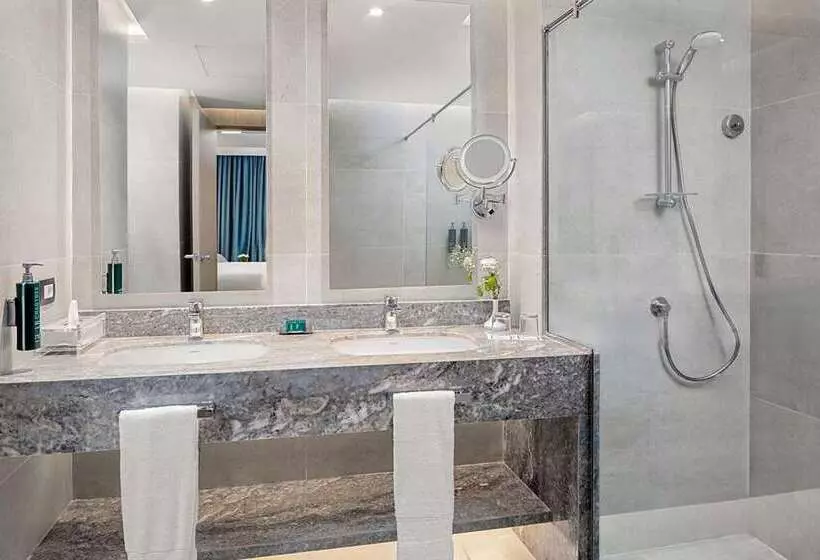 اتاق اجرایی, Hilton Alexandria Green Plaza