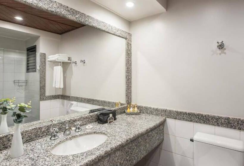 חדר דלוקס, Nacional De Rio Preto  Distributed By Intercity