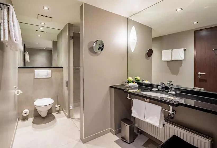 エクゼクティブルーム, Park Plaza Trier