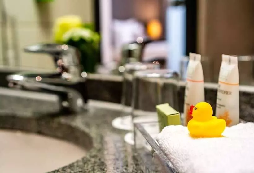 エクゼクティブルーム, Park Plaza Trier