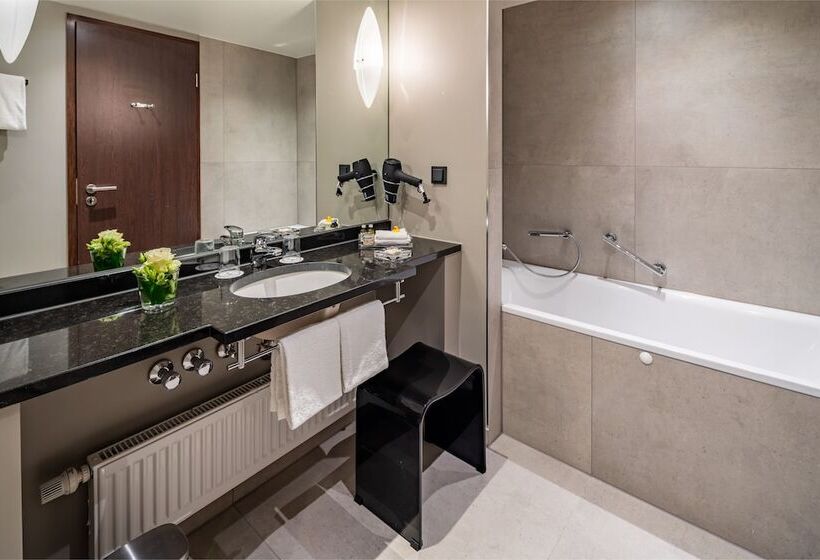 Люкс, Park Plaza Trier