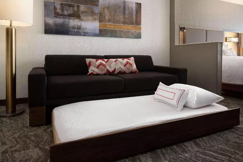 استودیو استاندارد با تخت کینگ, Sonesta Select Seattle Renton Suites