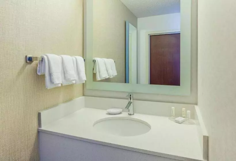 スタンダードルーム, Springhill Suites Minneapolis West St. Louis Park