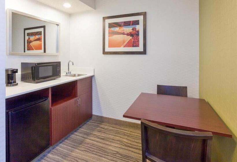 Suíte Executivo, Springhill Suites Minneapolis West St. Louis Park