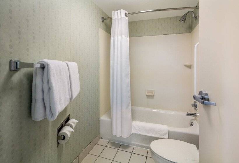 Студия Стандарт, Springhill Suites By Marriott Pittsburgh Washington