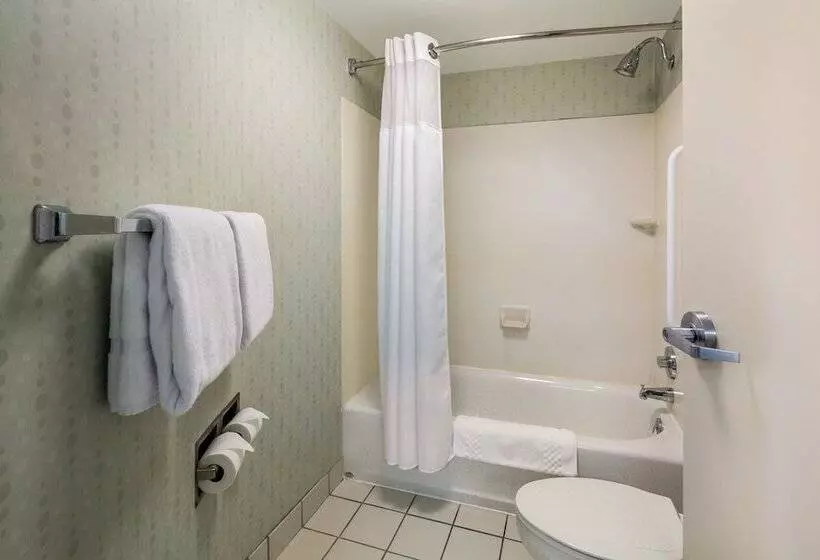 スタンダードスタジオ, Springhill Suites By Marriott Pittsburgh Washington