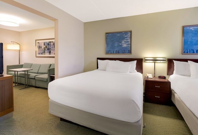 스탠다드 스튜디오, Springhill Suites By Marriott Pittsburgh Washington