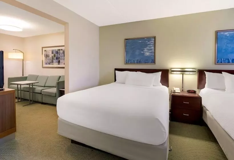 スタンダードスタジオ, Springhill Suites By Marriott Pittsburgh Washington