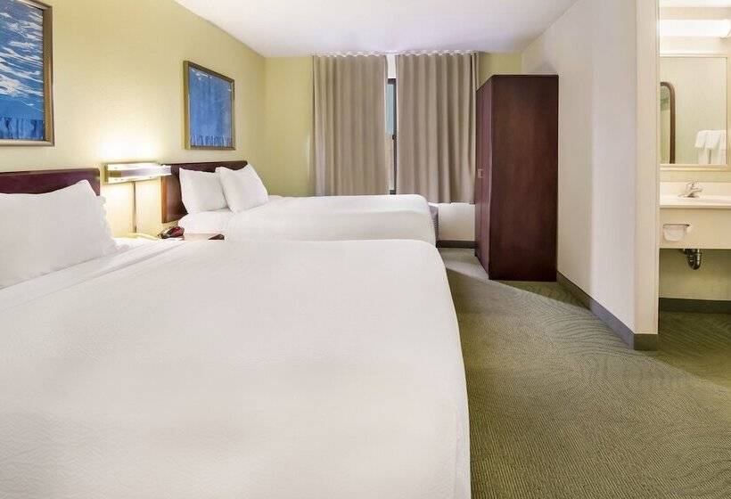 Студия Стандарт, Springhill Suites By Marriott Pittsburgh Washington