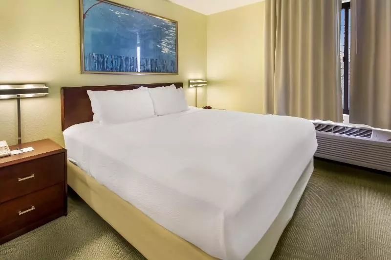 キングサイドベッドのスタンダードワンルーム, Springhill Suites By Marriott Pittsburgh Washington