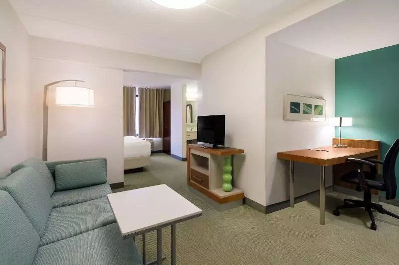 キングサイドベッドのスタンダードワンルーム, Springhill Suites By Marriott Pittsburgh Washington