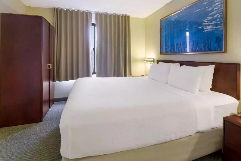 キングサイドベッドのスタンダードワンルーム, Springhill Suites By Marriott Pittsburgh Washington