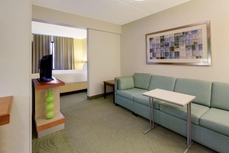 스탠다드 스튜디오 킹침대, Springhill Suites By Marriott Pittsburgh Washington