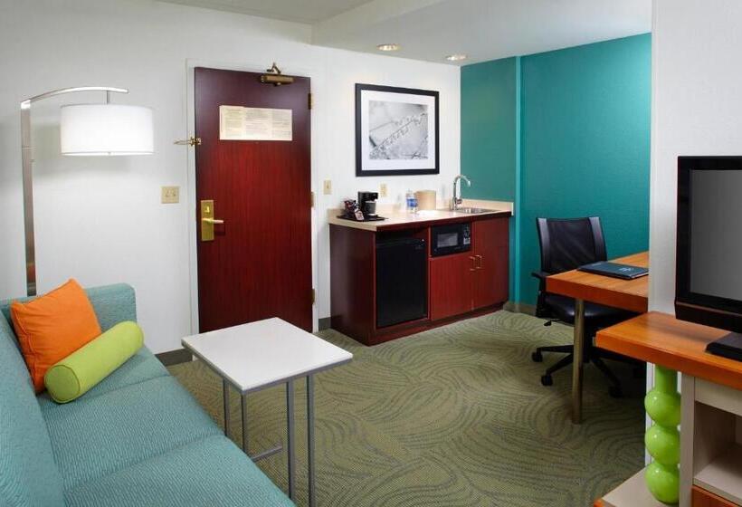 Студия Стандарт, Springhill Suites By Marriott Pittsburgh Washington