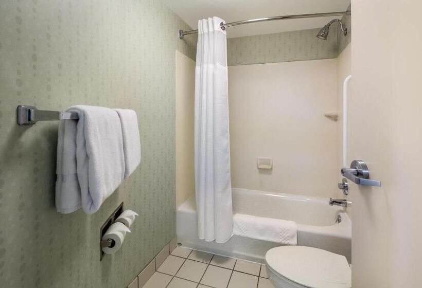 스탠다드 스튜디오 킹침대, Springhill Suites By Marriott Pittsburgh Washington