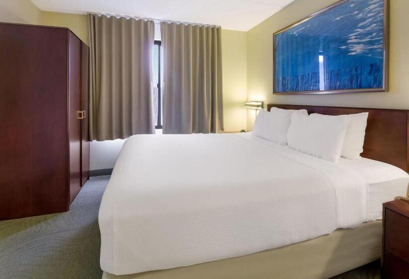 스탠다드 스튜디오 킹침대, Springhill Suites By Marriott Pittsburgh Washington