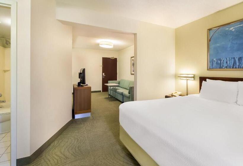 Студио Стандарт Кровать Кинг, Springhill Suites By Marriott Pittsburgh Washington