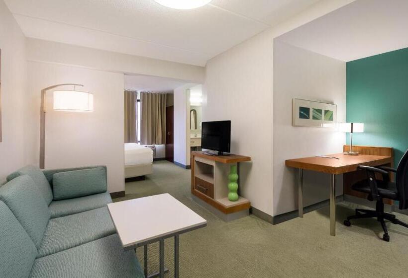 스탠다드 스튜디오 킹침대, Springhill Suites By Marriott Pittsburgh Washington