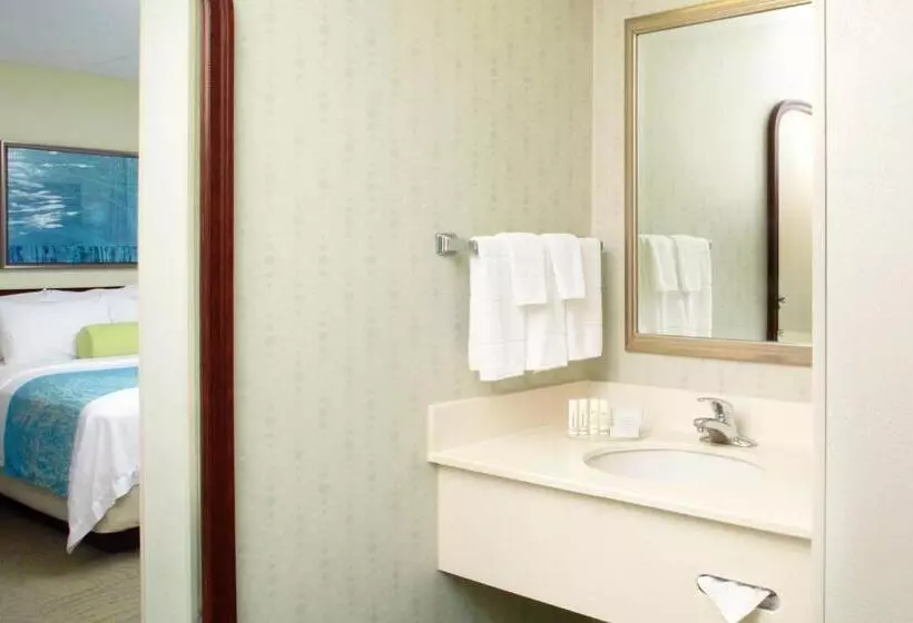 キングサイズベッドのスイートルーム, Springhill Suites By Marriott Pittsburgh Washington