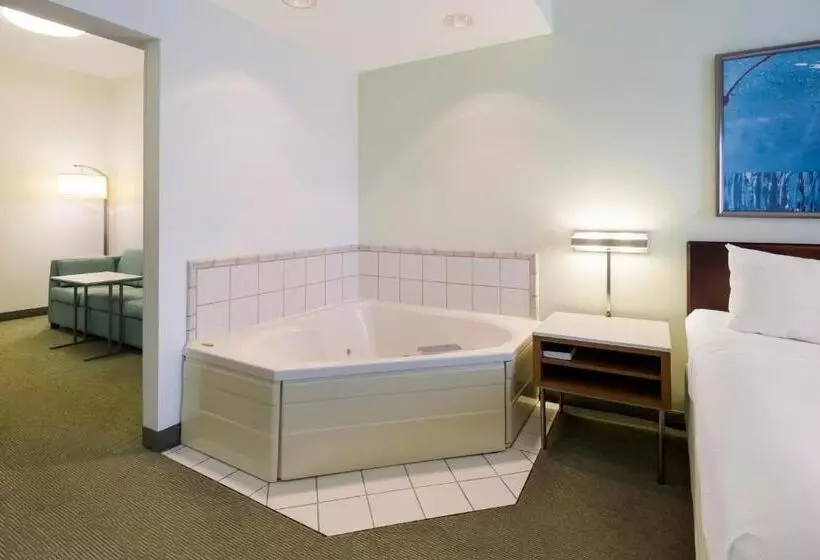 キングサイズベッドのスイートルーム, Springhill Suites By Marriott Pittsburgh Washington