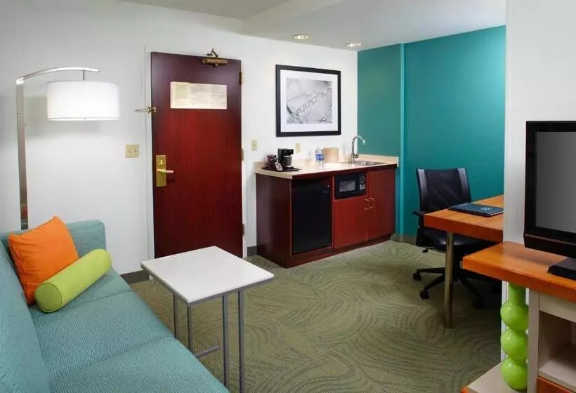 キングサイズベッドのスイートルーム, Springhill Suites By Marriott Pittsburgh Washington