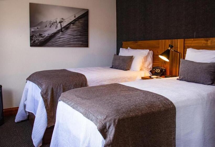 デラックスの４人部屋, The Bristol